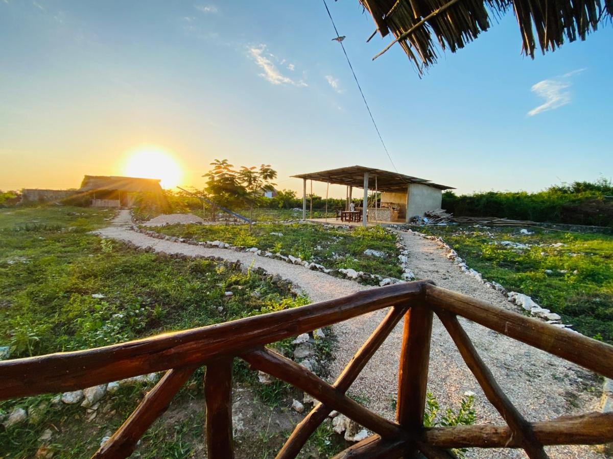 Habibis Bottle House Bed & Breakfast Nungwi Eksteriør bilde