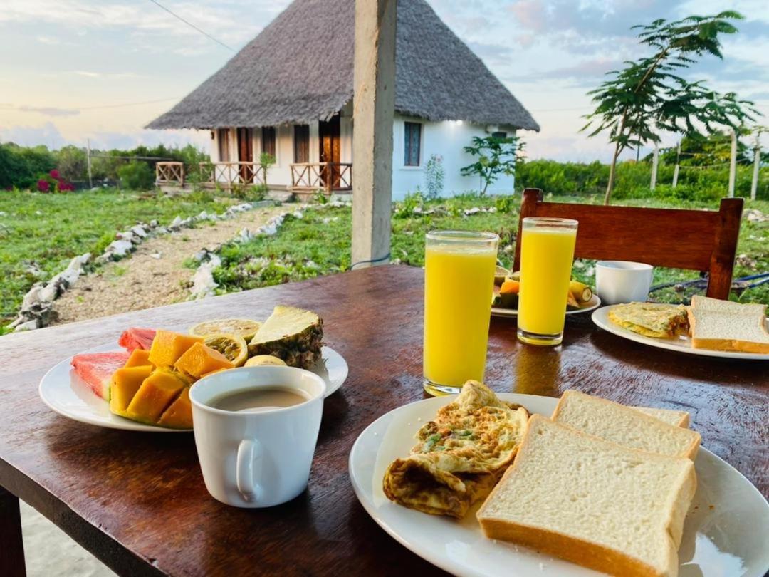 Habibis Bottle House Bed & Breakfast Nungwi Eksteriør bilde