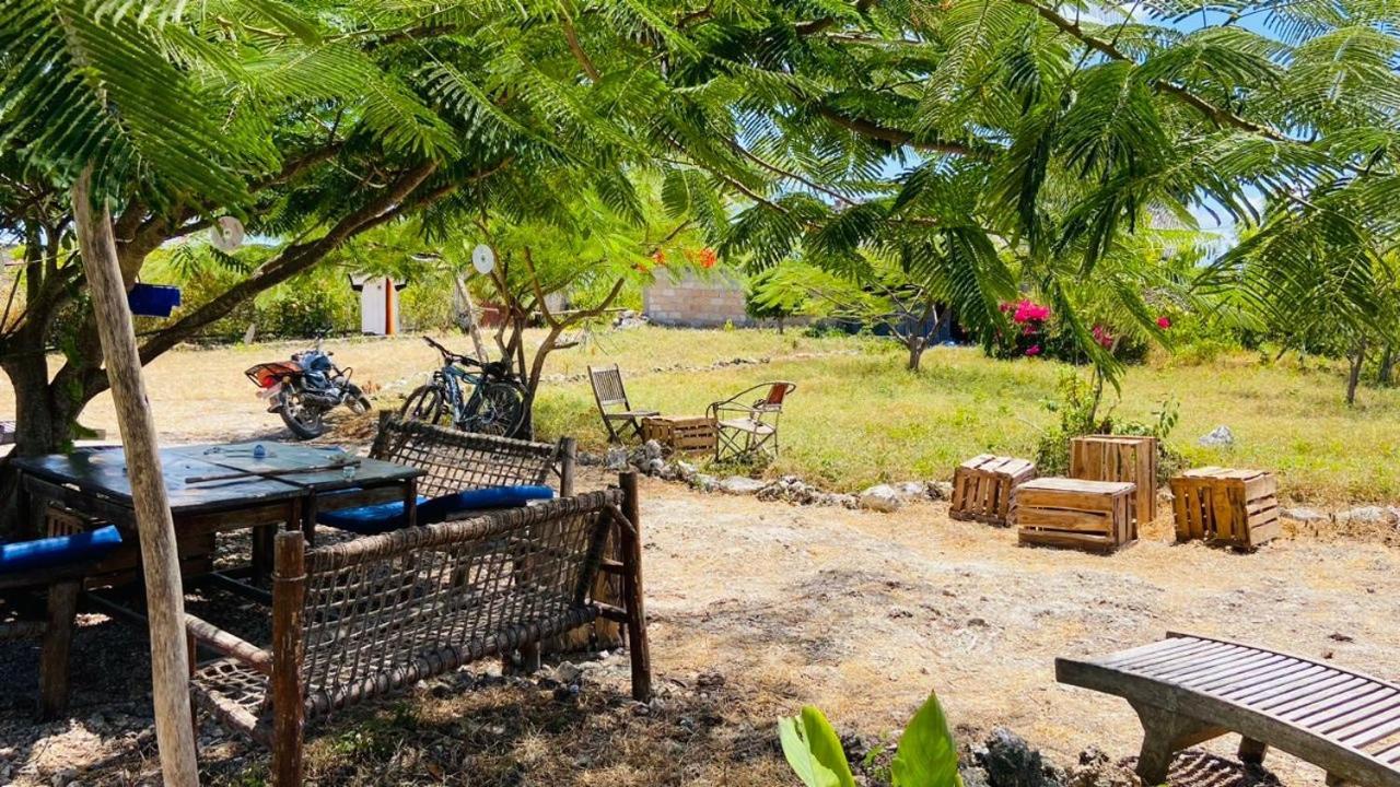 Habibis Bottle House Bed & Breakfast Nungwi Eksteriør bilde